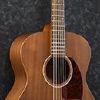 Ibanez Pf Acoustic Series Pc12mhopn купить