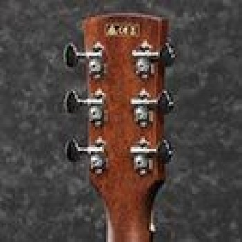 Ibanez Pf Acoustic/electric Series Pc12mhceopn купить