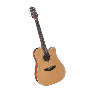 Takamine G20 SERIES GD20CE-NS купить