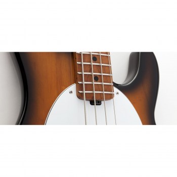 Music Man Stingray  - Dropped Copper - Roasted Maple/maple - White купить