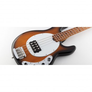 Music Man Stingray  - Dropped Copper - Roasted Maple/maple - White купить