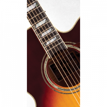 Takamine ARTIST EF250TK TOBY KEITH Signature купить