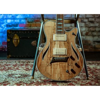 Michael Kelly Ele Gtr Hybrid Special Dark Ziricote top(Fishman/Rockfield) pferroFB купить