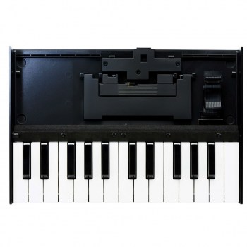 Roland K-25m купить