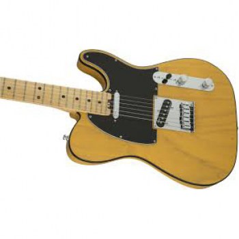 Fender Standard Telecaster Maple Fingerboard, Butterscotch Blonde купить