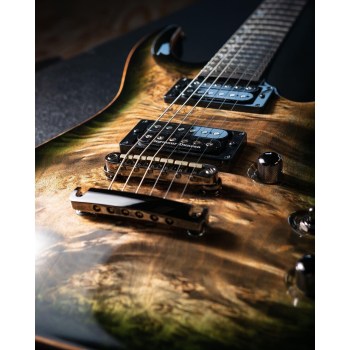 ESP Originals Japan HORIZON-CTM NT/Burl Maple Reptile Black Burst купить