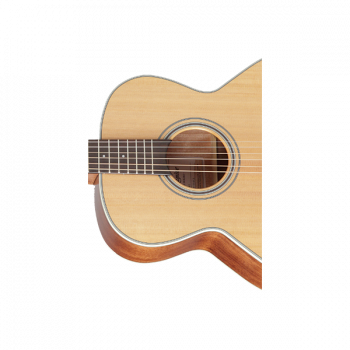 Takamine G20 SERIES GN20-NS купить