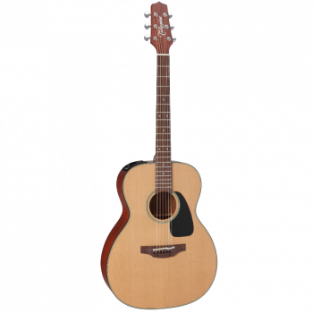 Takamine PRO SERIES 1 P1M купить