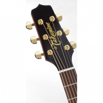 Takamine PRO SERIES 5 P5J купить