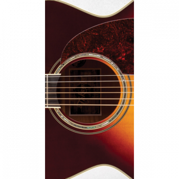 Takamine ARTIST EF250TK TOBY KEITH Signature купить