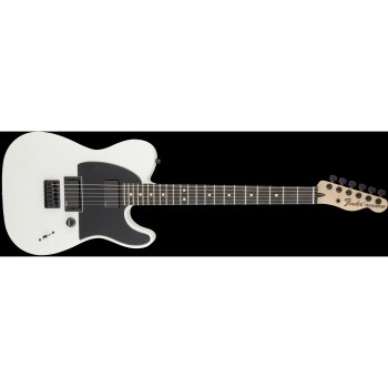 Fender Jim Root Telecaster, Flat White, Ebony купить