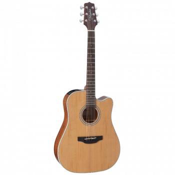 Takamine G20 SERIES GD20CE-NS купить