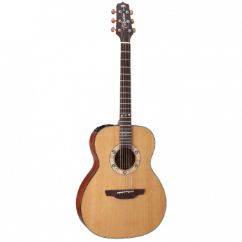 Takamine ARTIST KC70 KENNY CHESNEY Signature купить