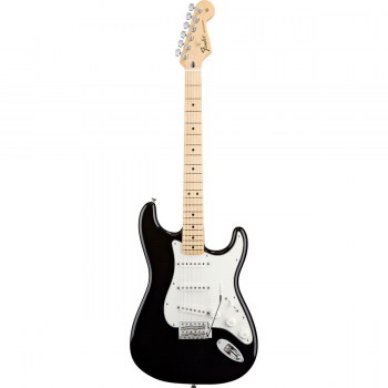 Fender Standard Stratocaster MN Black TINT купить