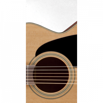 Takamine PRO SERIES 1 P1JC купить