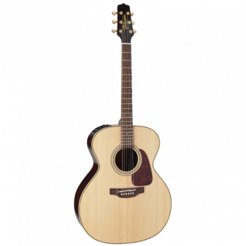 Takamine PRO SERIES 5 P5J купить