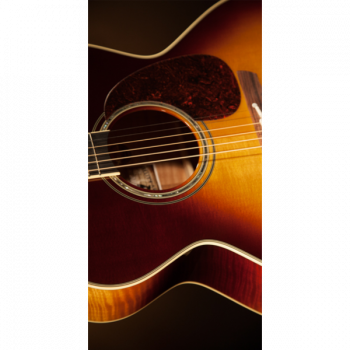 Takamine ARTIST EF250TK TOBY KEITH Signature купить