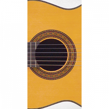 Takamine Classic SERIES C132S купить