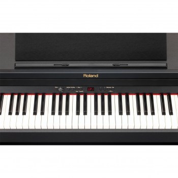 Roland Rp301-sb купить