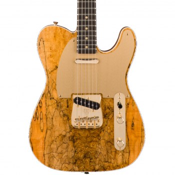 Fender Custom Shop 2017 ARTISAN SPALTED MAPLE TELE купить