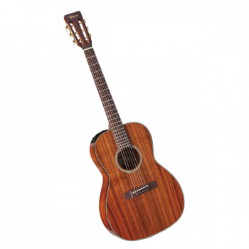 Takamine LEGACY EF407 купить