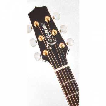 Takamine PRO SERIES 6 P6N BSB купить