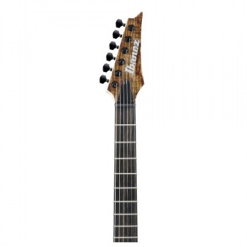 Ibanez RGAIX6U-ABS Iron Label купить