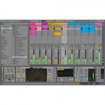 Ableton Live 10 Suite Boxed купить