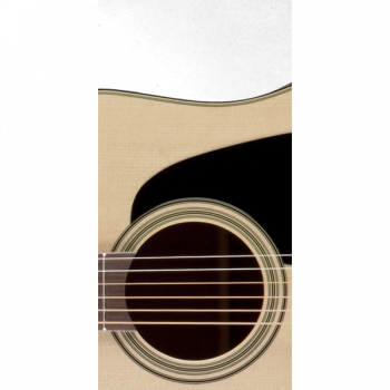 Takamine PRO SERIES 2 P2DC PRO SERIES 2 купить