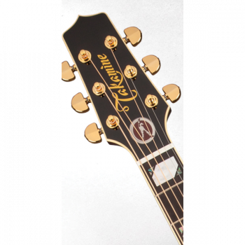 Takamine ARTIST EF250TK TOBY KEITH Signature купить