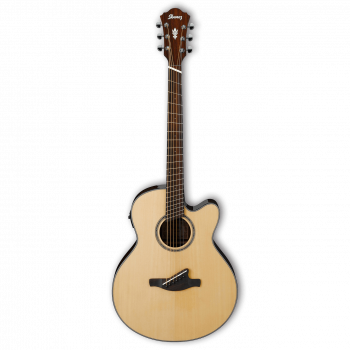 Ibanez AELFF10-NT купить