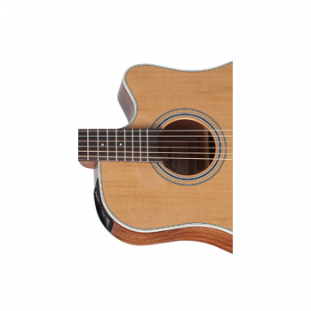 Takamine G20 SERIES GD20CE-NS купить