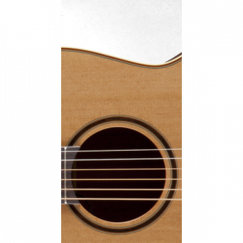 Takamine PRO SERIES 3 P3NY купить