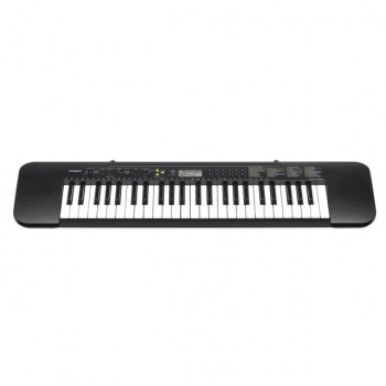 Casio CTK-240 Portable Keyboard 49-note keyboard купить