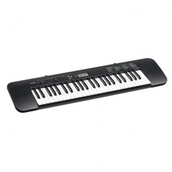 Casio CTK-240 Portable Keyboard 49-note keyboard купить