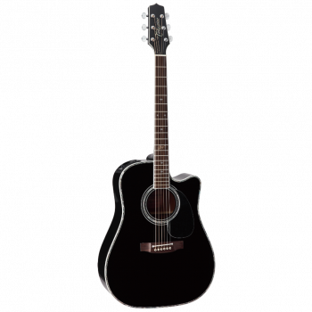 Takamine ARTIST SW341SC STEVE WARNER Signature купить