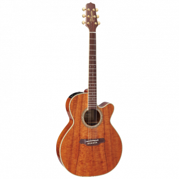 Takamine LEGACY EF508KC купить