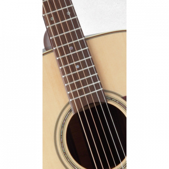 Takamine PRO SERIES 5 P5J купить