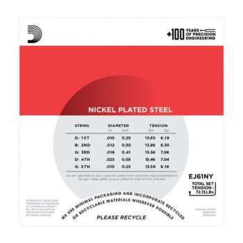 D'Addario Banjo Strings EJ61NY 10-23 5-String Nickel Loop End купить