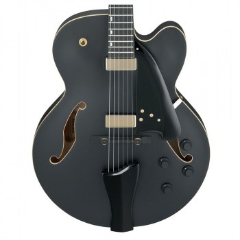 Ibanez AFC125-BKF Archtop купить