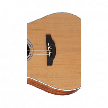 Takamine G20 SERIES GD20CE-NS купить