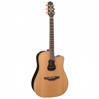 Takamine ARTIST GB7C GARTH BROOKS Signature купить