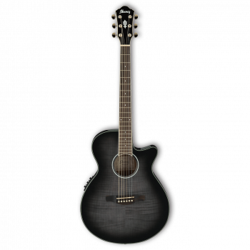 Ibanez AEG24II-TGB купить