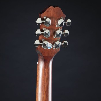 Epiphone El Nino купить