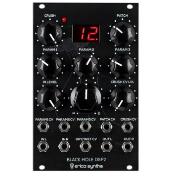 Erica Synths Black Hole DSP2 купить