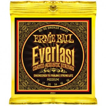 Ernie Ball A-Guit. Strings 13-56 Everlast Bronze, EB2554 купить