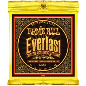 Ernie Ball A-Guit. Strings 11-52 Everlast Bronze, EB2558 купить