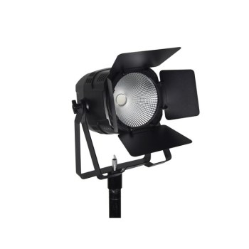 Eurolite LED Theatre COB 100 UV купить