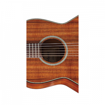 Takamine LEGACY EF407 купить