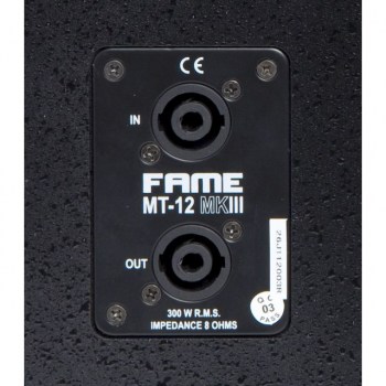 Fame audio MT-12 MKIII passive, 12"/1", 250W/8Ohm купить